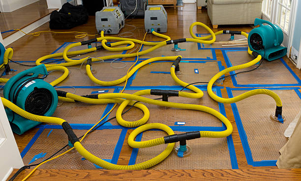 Professional Water Damage Restoration technician working in Kennedy, AL